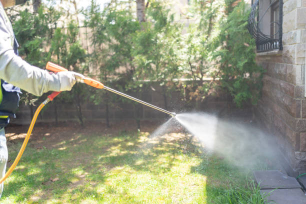 Outdoor Pest Control in Pine Ridge, FL